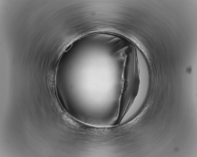 X0000089951001200707271836