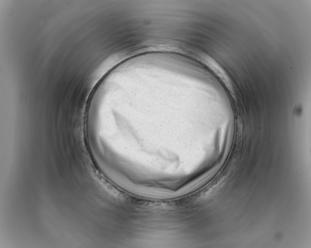 X0000089951002200707271836