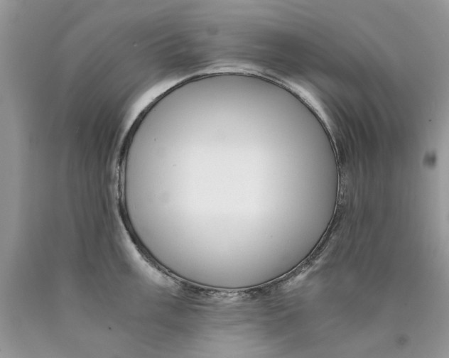 X0000089951003200707271836