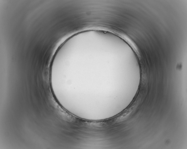 X0000089951004200707271836