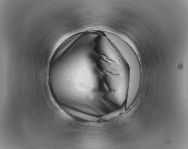 X0000089951005200707271836