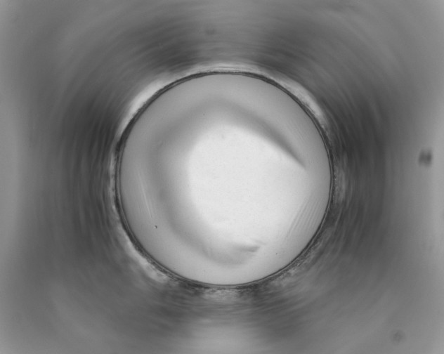 X0000089951006200707271836