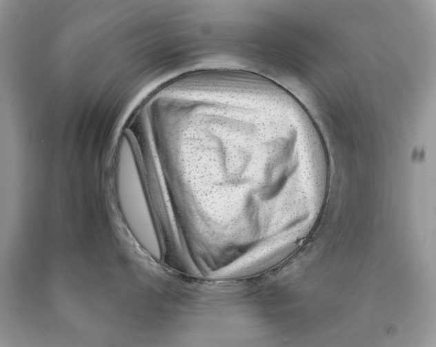 X0000089951008200707271836