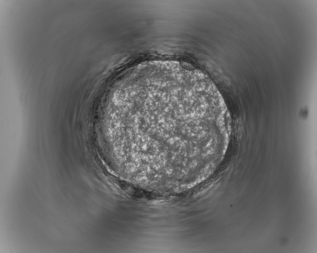 X0000089951009200707271835