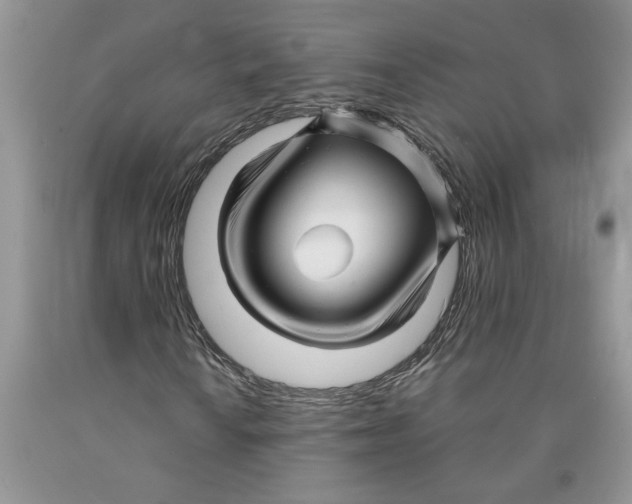 X0000089951010200707271835