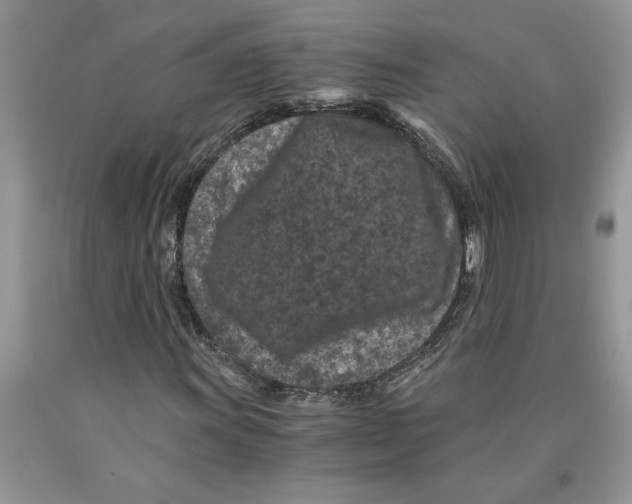 X0000089951011200707271835