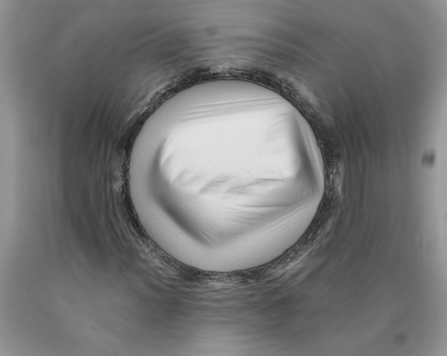 X0000089951012200707271835