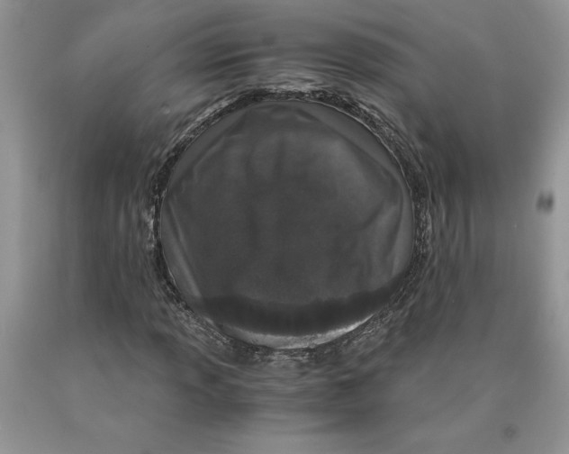 X0000089951013200707271835