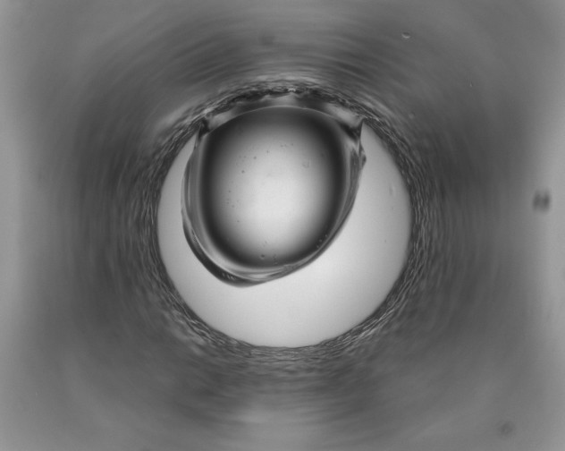 X0000089951014200707271835