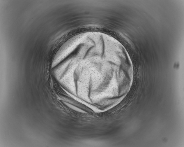 X0000089951015200707271835