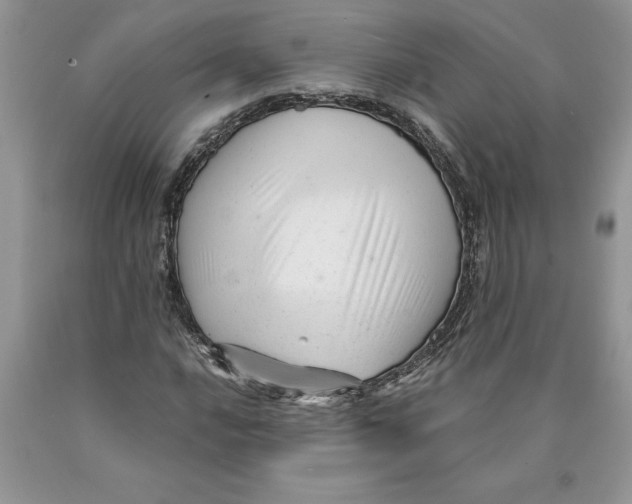 X0000089951016200707271835