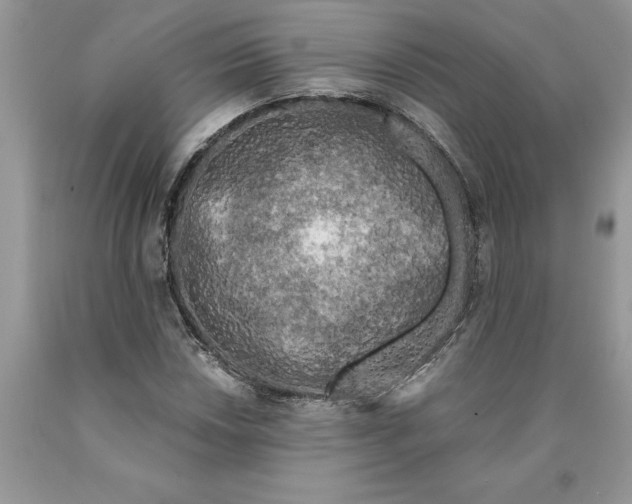 X0000089951018200707271835