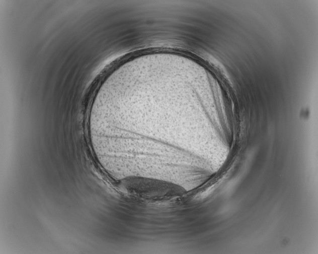 X0000089951019200707271835