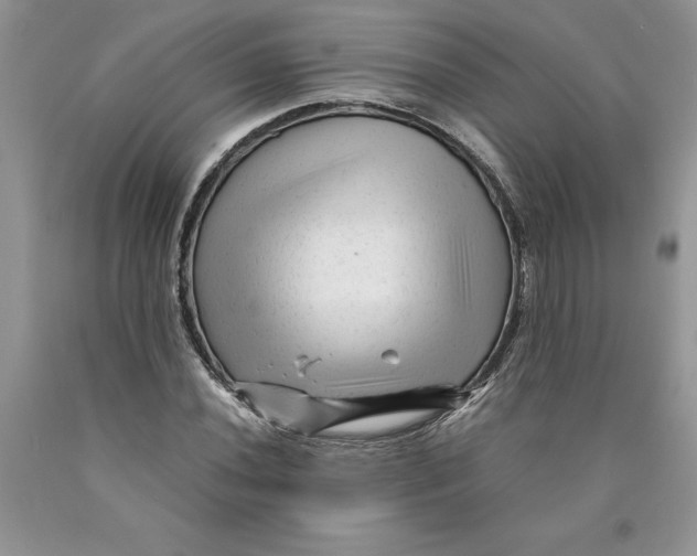 X0000089951020200707271835