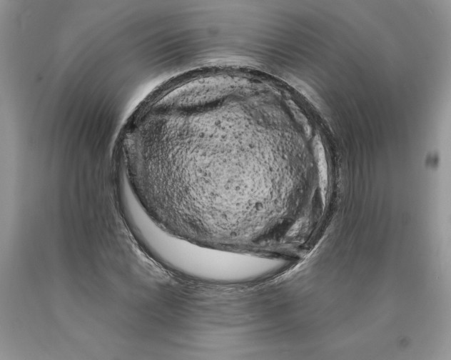 X0000089951022200707271835