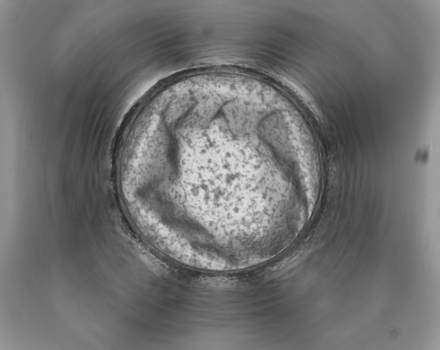 X0000089951023200707271835