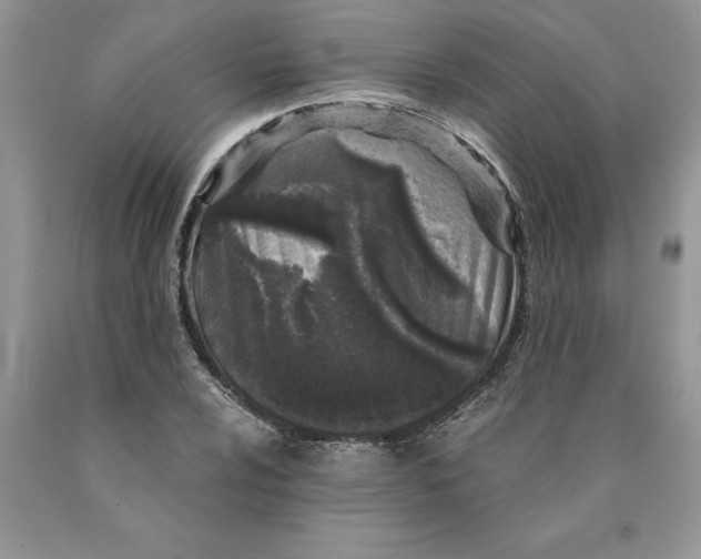 X0000089951024200707271835