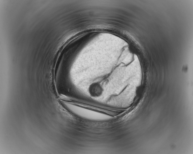 X0000089951025200707271835