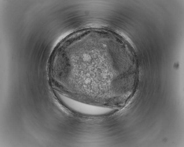 X0000089951026200707271835