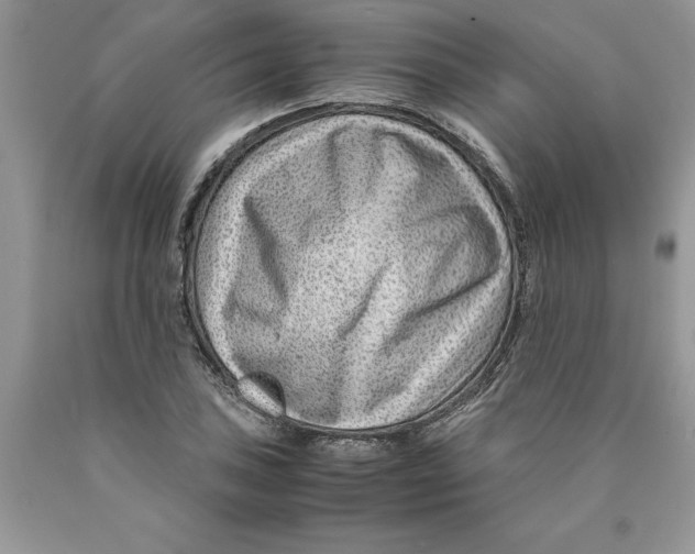 X0000089951027200707271835