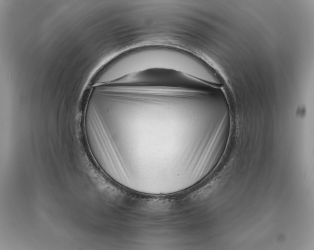 X0000089951029200707271835