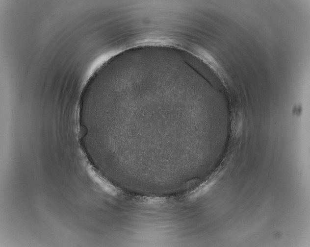 X0000089951030200707271835