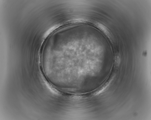 X0000089951034200707271835