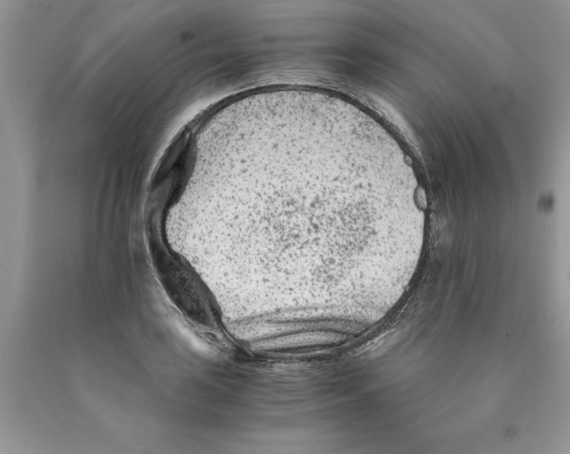 X0000089951035200707271835