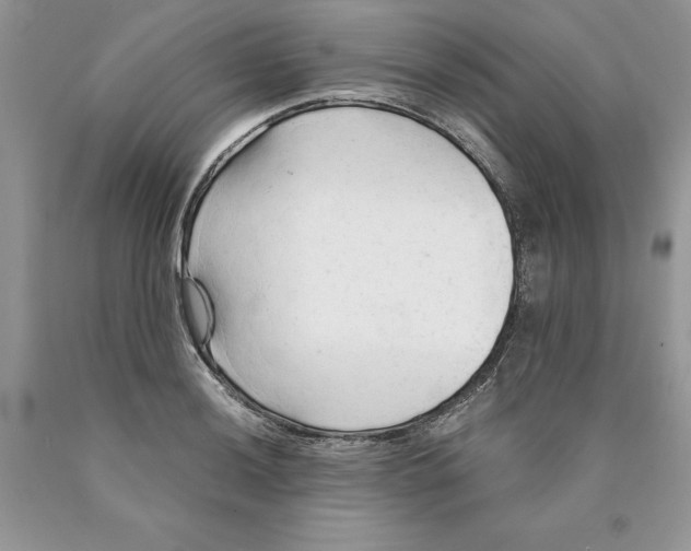 X0000089951036200707271835