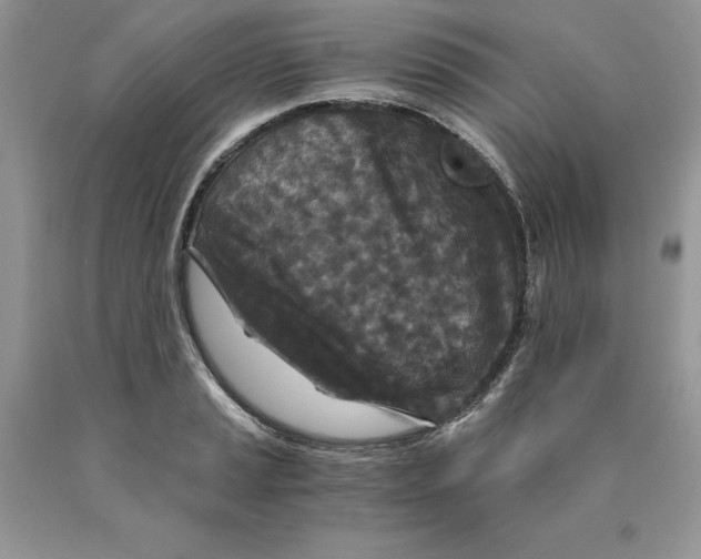 X0000089951037200707271835