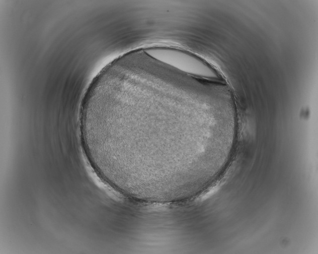 X0000089951038200707271835