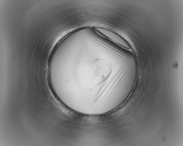 X0000089951040200707271835