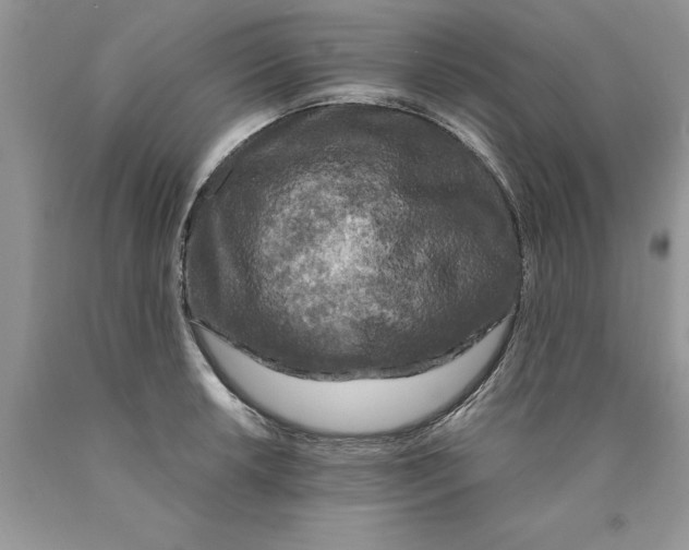 X0000089951042200707271835