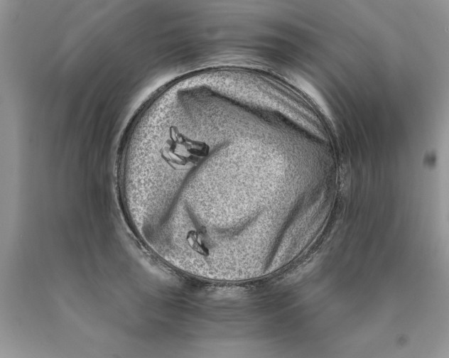 X0000089951043200707271835