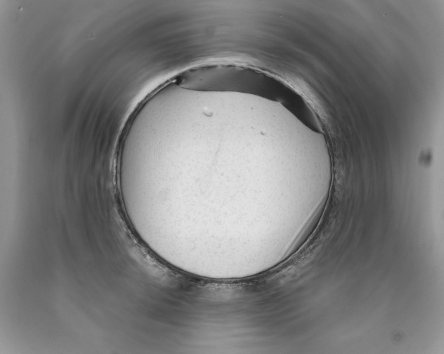 X0000089951044200707271835