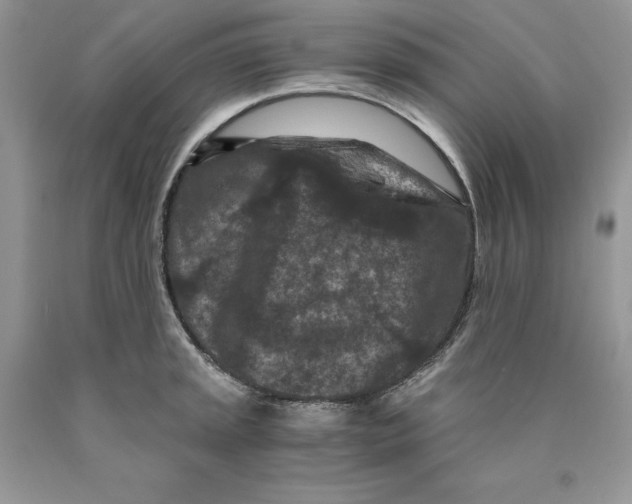 X0000089951045200707271835