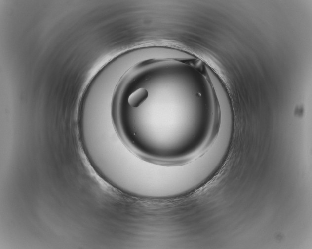 X0000089951046200707271835