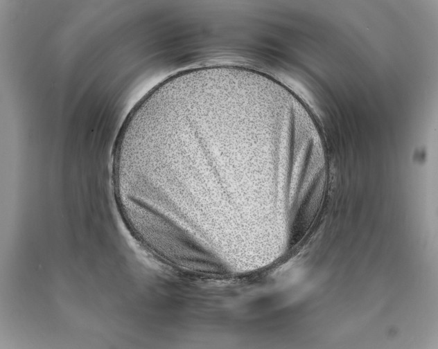 X0000089951047200707271835