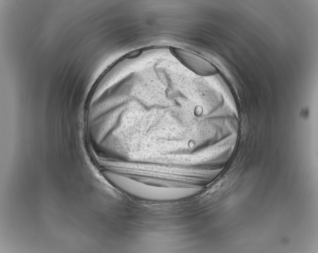 X0000089951048200707271836