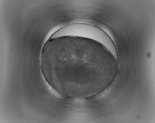 X0000089951050200707271836