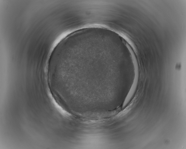 X0000089951054200707271836