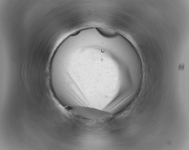 X0000089951056200707271836