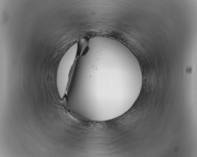 X0000089951058200707271835