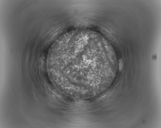 X0000089951059200707271835