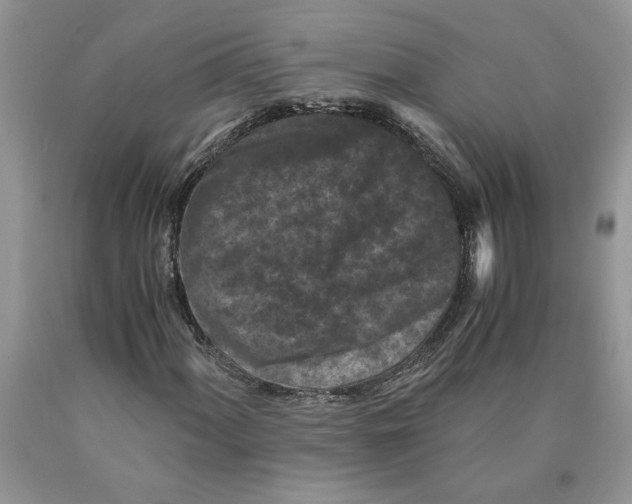 X0000089951060200707271835