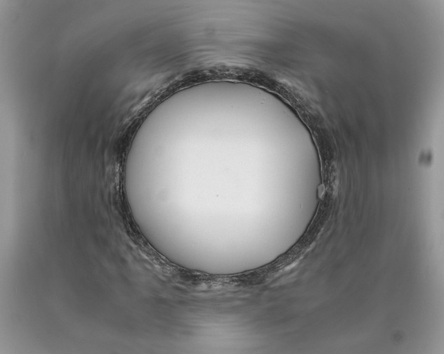 X0000089951061200707271835