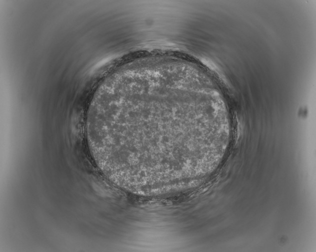 X0000089951063200707271835