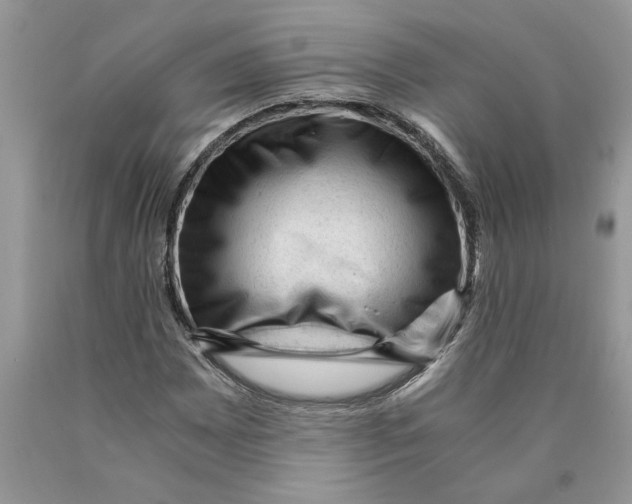 X0000089951065200707271835