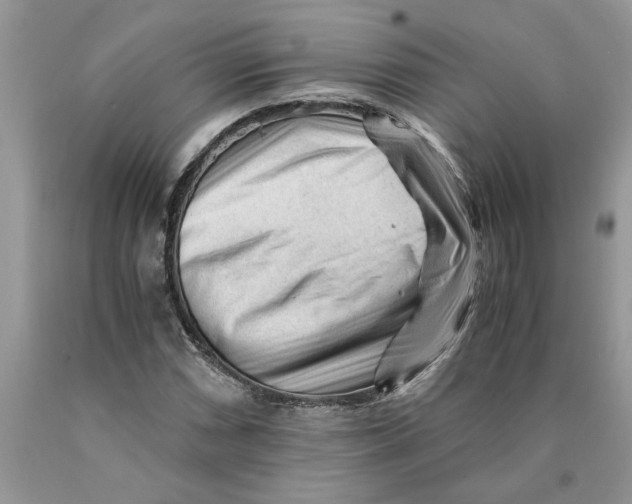 X0000089951066200707271835