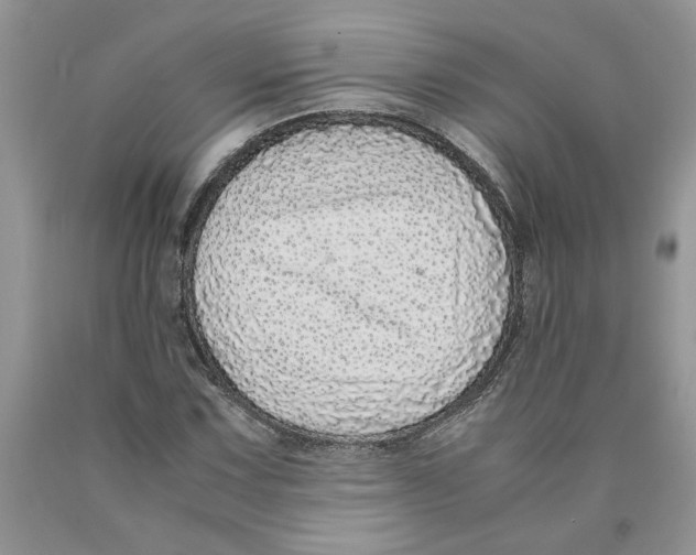 X0000089951067200707271835